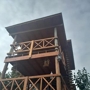Cabana Semilla